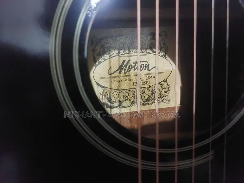 Semi Acoustic Guitar