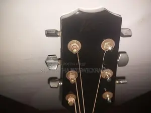 Semi Acoustic Guitar