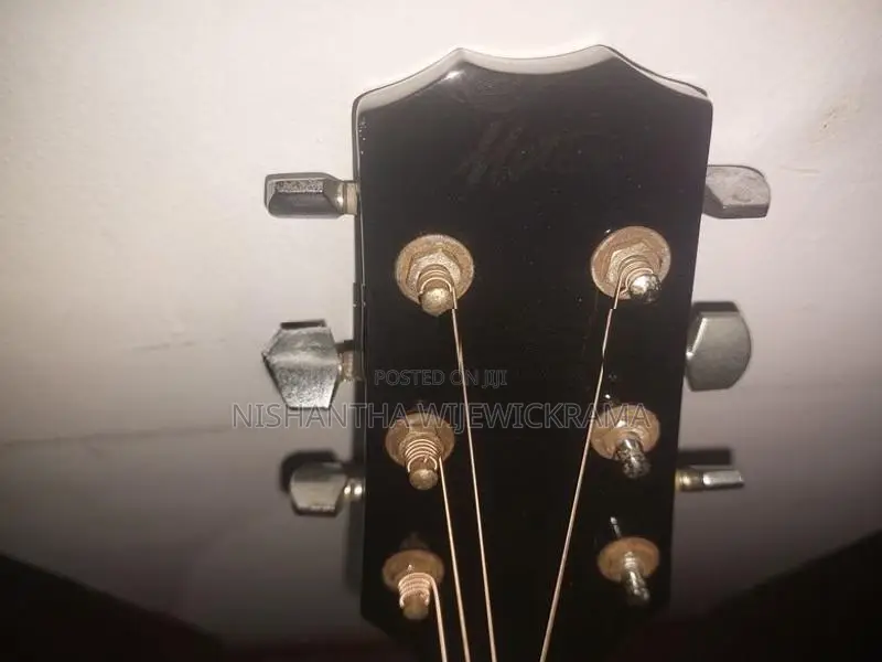 Semi Acoustic Guitar
