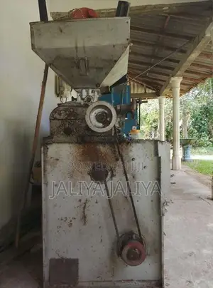 වී කේටිමට මැසිම්