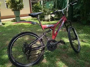 DSI mountain bike
