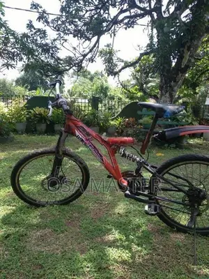 DSI mountain bike