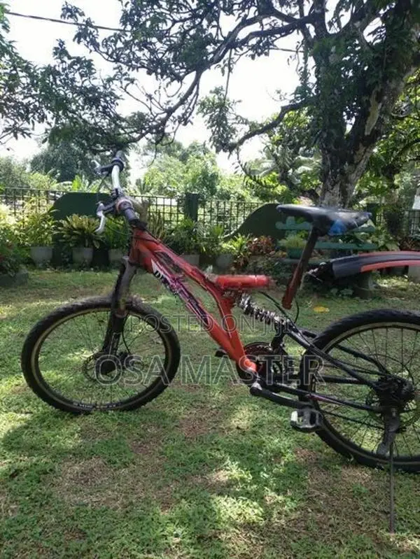 DSI mountain bike