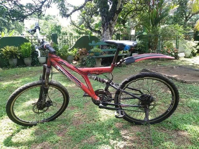 DSI mountain bike