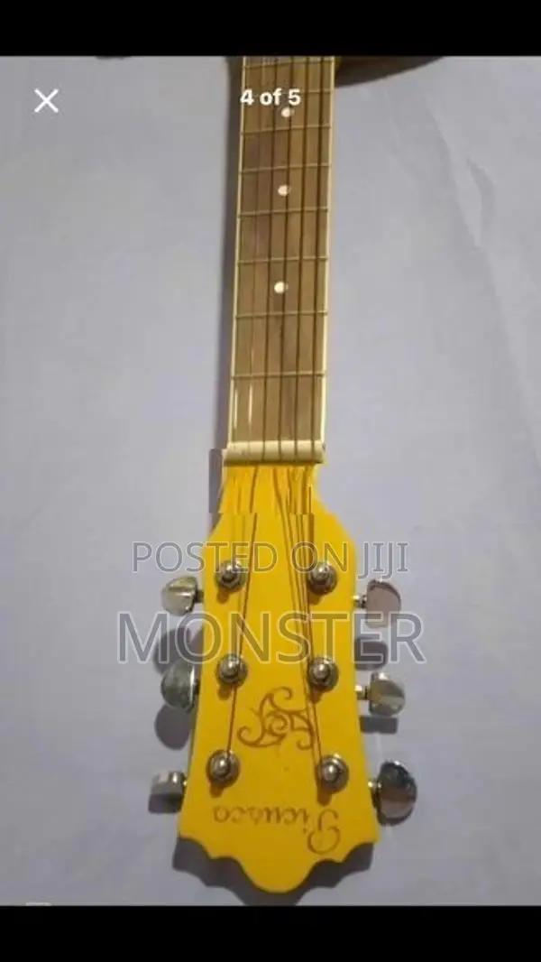 Picusco Guitar