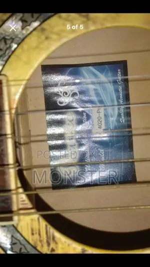 Picusco Guitar