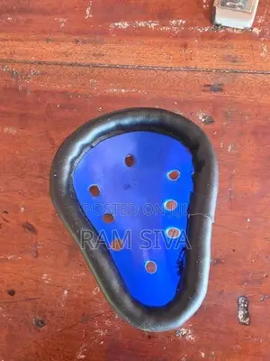 Ball Guard