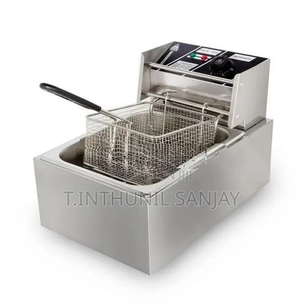 Electric Deep Fryer