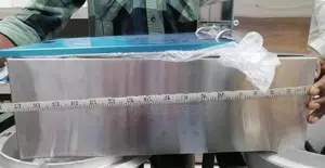Electric Deep Fryer