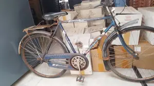 Used Bicycle