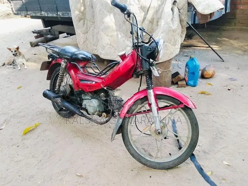 Singer Safari 48cc 2015