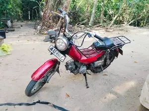 Singer Safari 48cc 2015