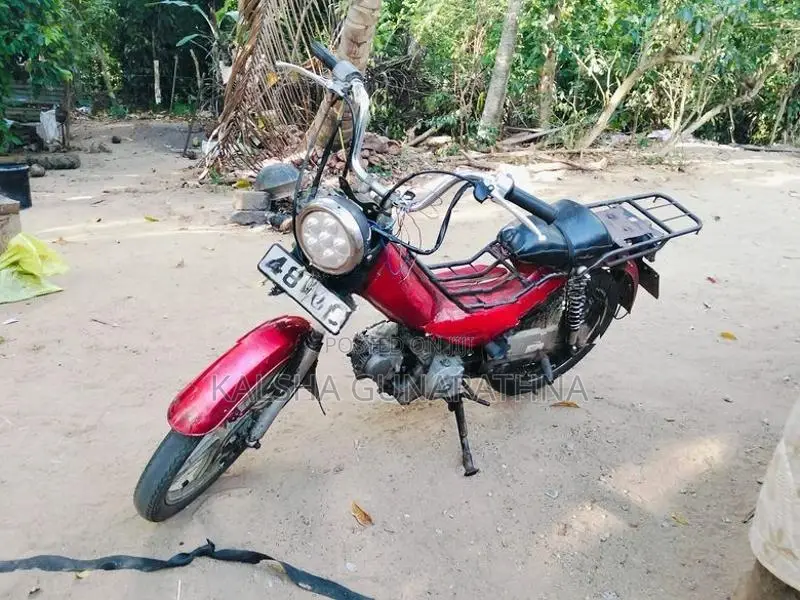 Singer Safari 48cc 2015