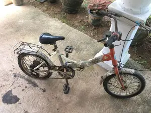 Kids Mountain Bicycle