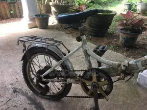 Kids Mountain Bicycle