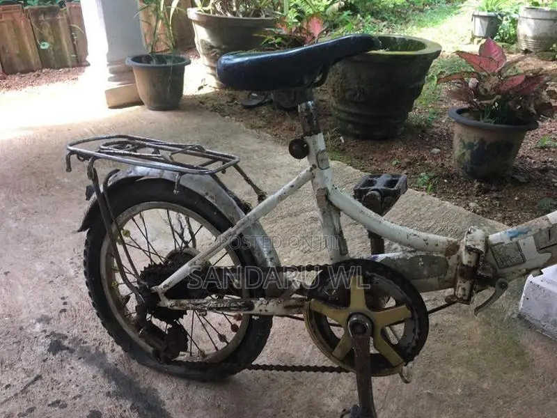 Kids Mountain Bicycle