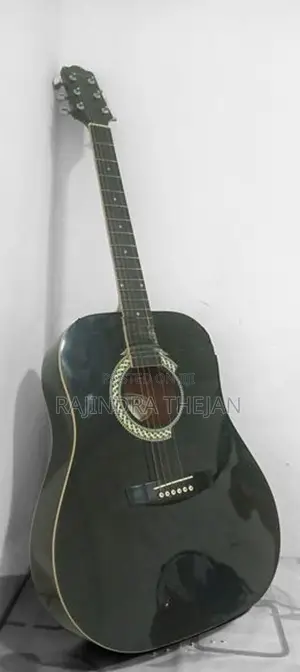 Acoustic Guitar
