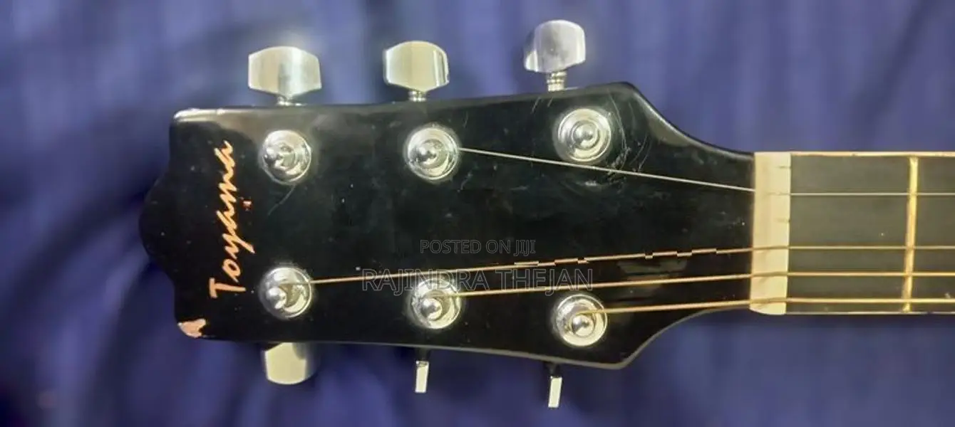 Acoustic Guitar