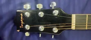 Acoustic Guitar