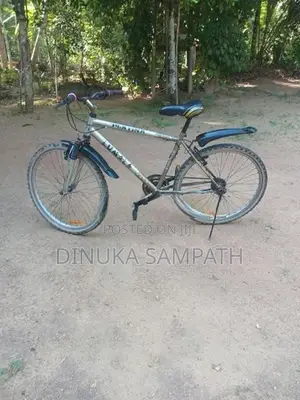 Mountain Bicycle