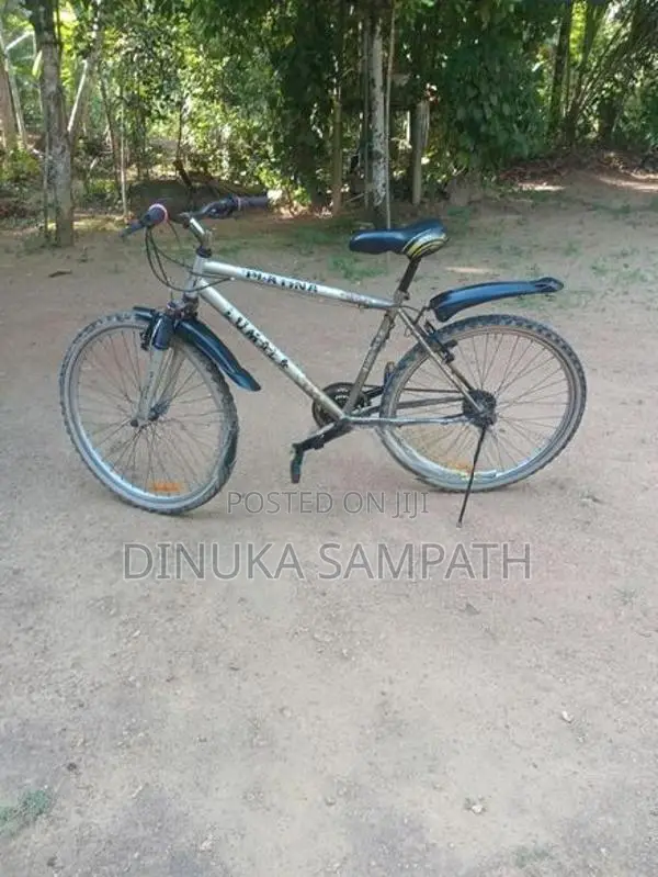 Mountain Bicycle
