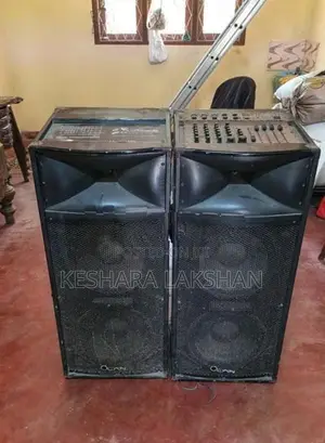 12 Inch Double Top Speaker