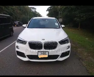 BMW X1 2017