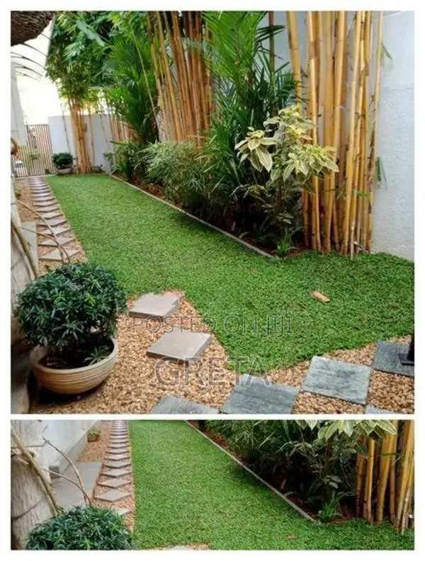 Malaysian Grass Carpet
