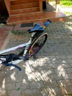 Celeste Mountain bike