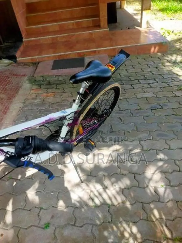 Celeste Mountain bike