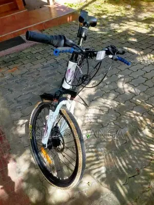 Celeste Mountain bike