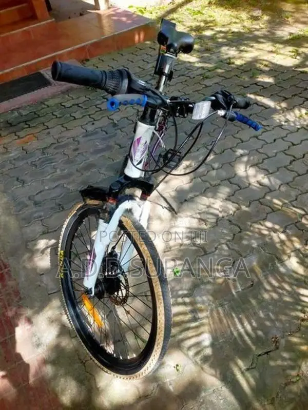 Celeste Mountain bike