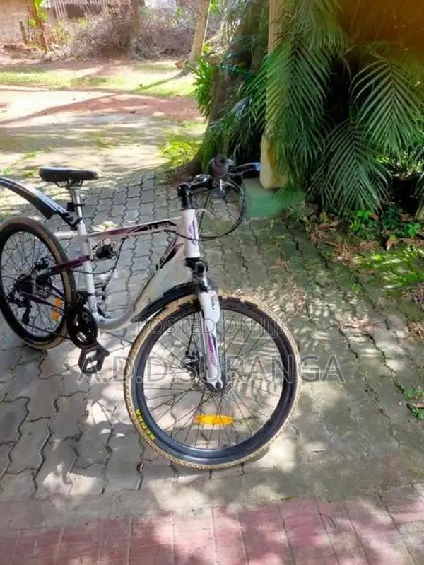 Celeste Mountain bike
