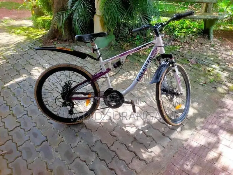 Celeste Mountain bike