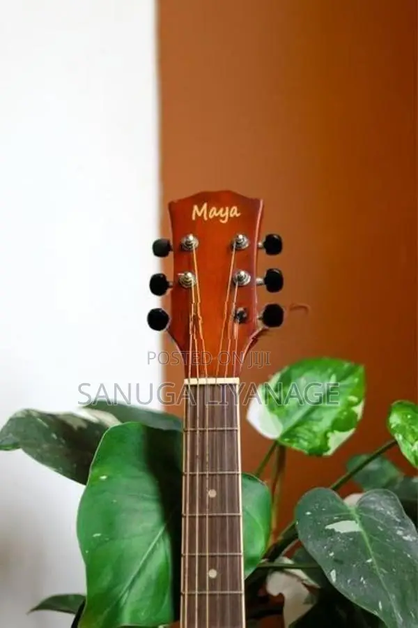 Maya Acoustic Guitar