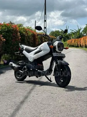 Honda Navi 2017