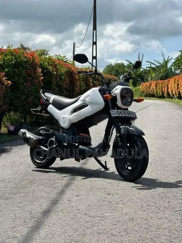 Honda Navi 2017