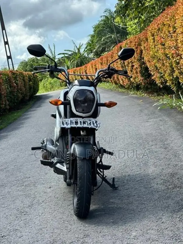 Honda Navi 2017