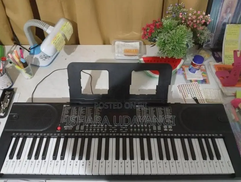 The Bd Music Bd-616 Electronic Full Size, 61 Key Keyboard