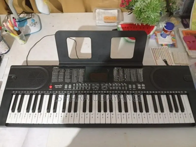 The Bd Music Bd-616 Electronic Full Size, 61 Key Keyboard