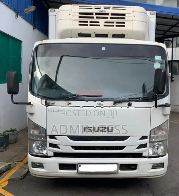 Isuzu Elf Freezer Truck 2015