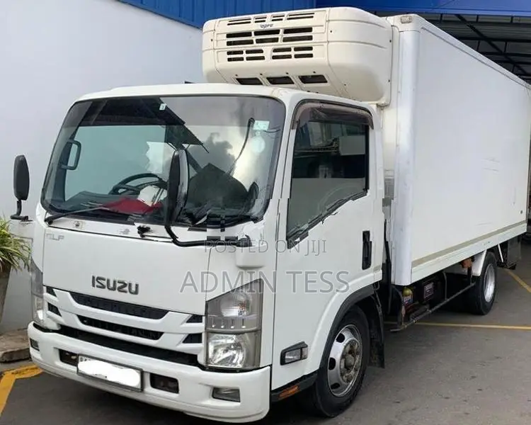 Isuzu Elf Freezer Truck 2015
