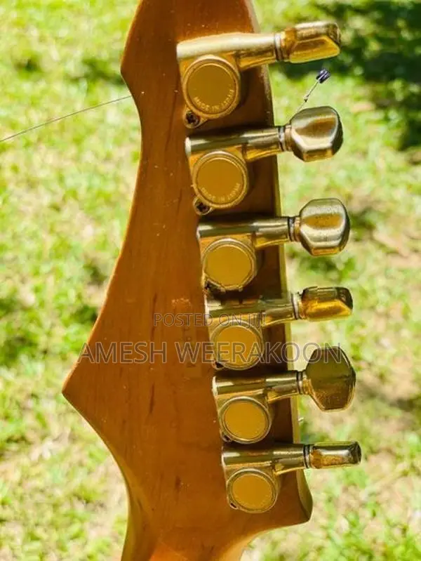 Electric Guitar Aria Pro ii Magna Series MA 600