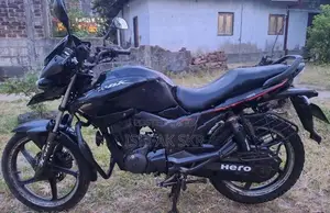 Hero Hunk 2014