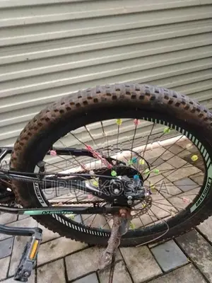 Mountain Bicycle