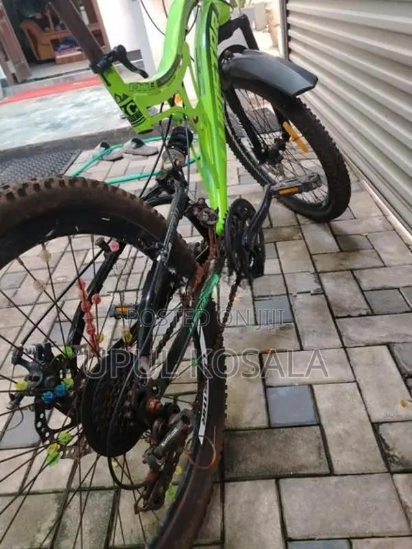 Mountain Bicycle