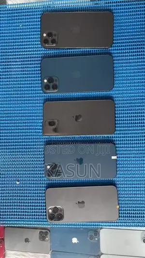 Apple iPhone 12 Pro 256GB (Used)