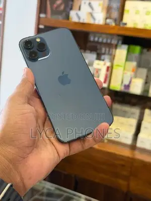 Apple iPhone 12 Pro Max 256GB (Used)
