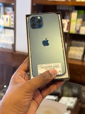 Apple iPhone 12 Pro 256GB (Used)