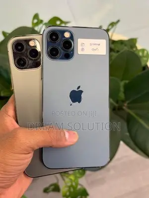 Apple iPhone 12 Pro 256GB (Used)